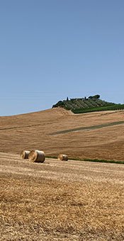 colline toscane