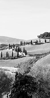 colline toscane